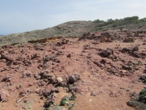 IMG_5459 (Medium)